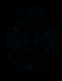Face-up Fluorescence