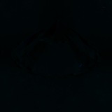 Fluorescence