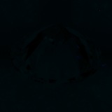 Fluorescence