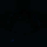 Fluorescence