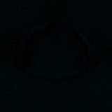 Fluorescence