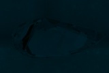 Fluorescence