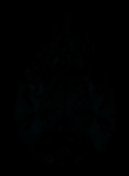 Face-up Fluorescence