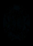 Face-up Fluorescence