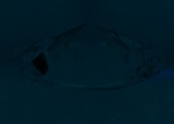 Fluorescence