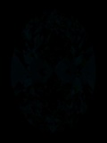 Face-up Fluorescence