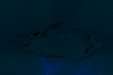 Fluorescence