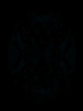 Face-up Fluorescence