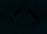 Fluorescence
