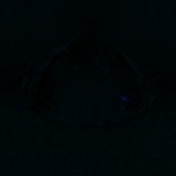 Fluorescence