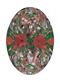 ASET White