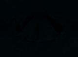 Fluorescence