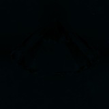 Fluorescence