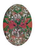 ASET White