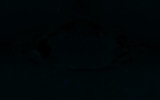 Fluorescence