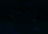 Fluorescence