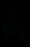 Face-up Fluorescence