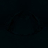 Fluorescence