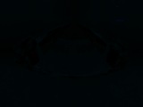 Fluorescence