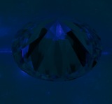 Fluorescence