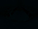 Fluorescence