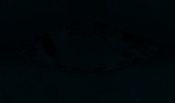 Fluorescence