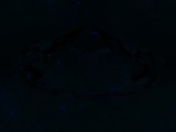 Fluorescence