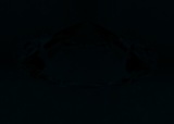 Fluorescence