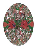 ASET White