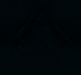 Fluorescence
