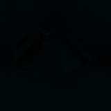 Fluorescence