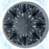 Darkfield ML
