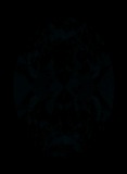 Face-up Fluorescence