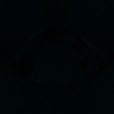 Fluorescence