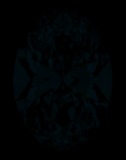 Face-up Fluorescence