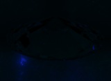 Fluorescence