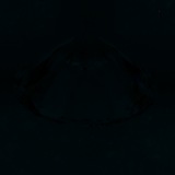 Fluorescence