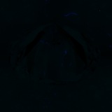 Fluorescence