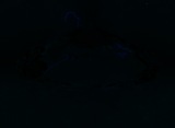 Fluorescence