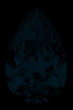 Face-up Fluorescence