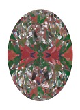 ASET White