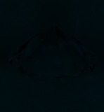 Fluorescence