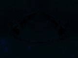 Fluorescence