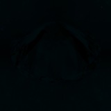 Fluorescence