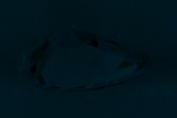 Fluorescence