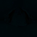 Fluorescence