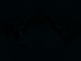Fluorescence