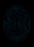 Face-up Fluorescence