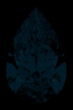 Face-up Fluorescence