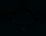 Fluorescence
